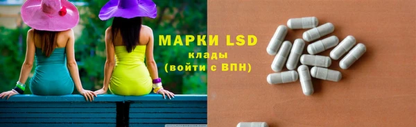 спайс Богданович