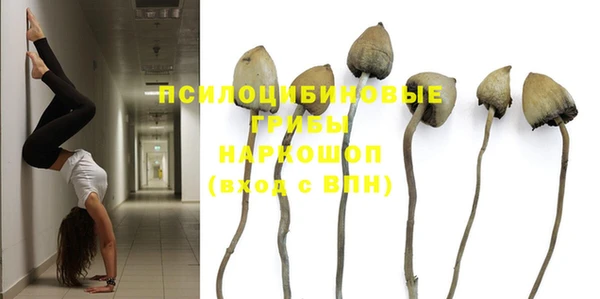 прущие крисы Богородск