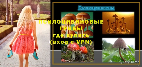 дмт Бронницы