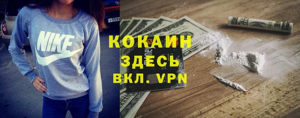 спайс Богданович