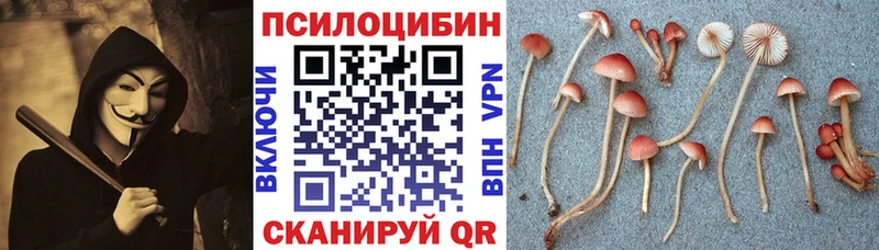 Псилоцибиновые грибы мухоморы  даркнет сайт  Гороховец 
